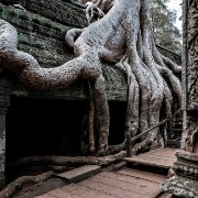 taprohm29b