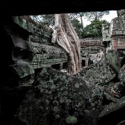 taprohm30b