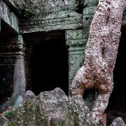 taprohm31b