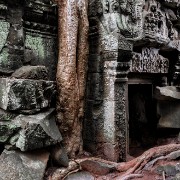 taprohm32b