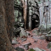 taprohm33b