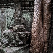 taprohm35b