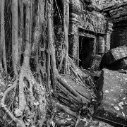 taprohm36b