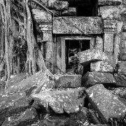 taprohm37b