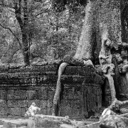 taprohm38b