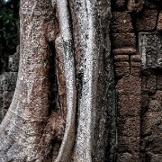 taprohm39b