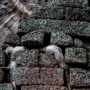 taprohm40b