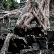 taprohm41b