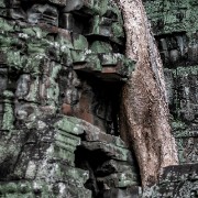 taprohm42b