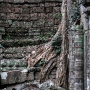 taprohm43b