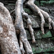 taprohm44b