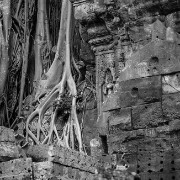 taprohm45b