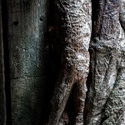 taprohm46b