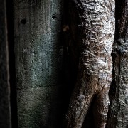 taprohm47b