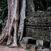 taprohm49b