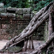 taprohm50b