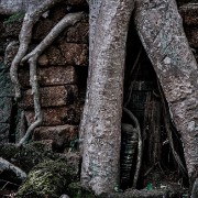 taprohm51b