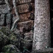 taprohm52b
