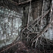 taprohm54b