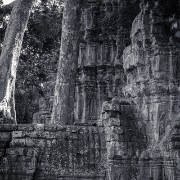 taprohm57b