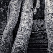 taprohm58b