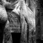 taprohm59b