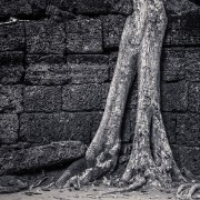 taprohm61b
