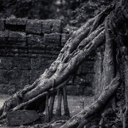 taprohm62b