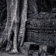 taprohm63b
