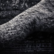 taprohm65b