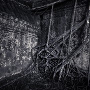 taprohm66b