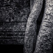 taprohm67b