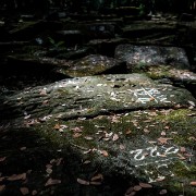 taprohm68b