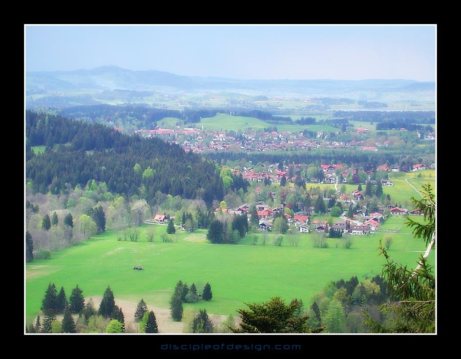 neuscwanvalley01