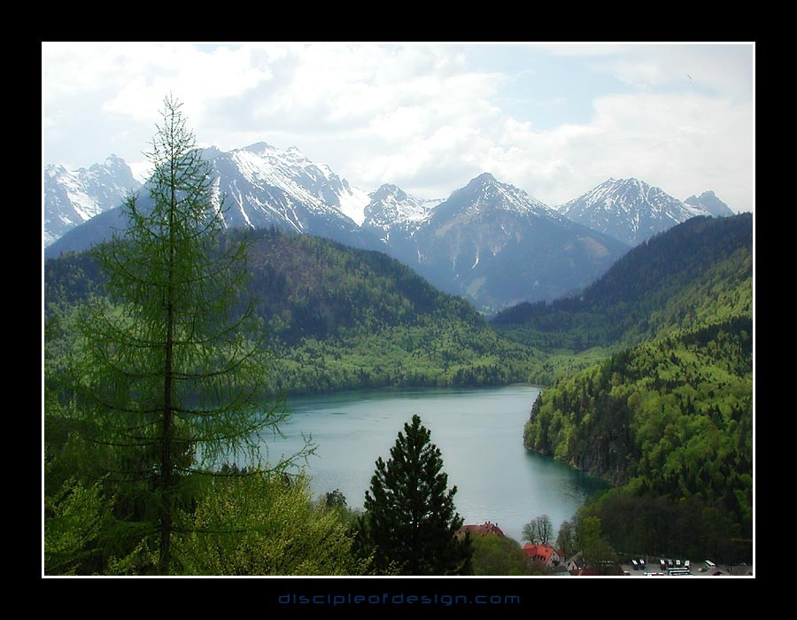 neuscwanvalley02