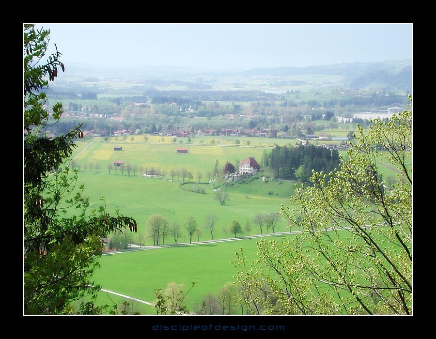 neuscwanvalley03