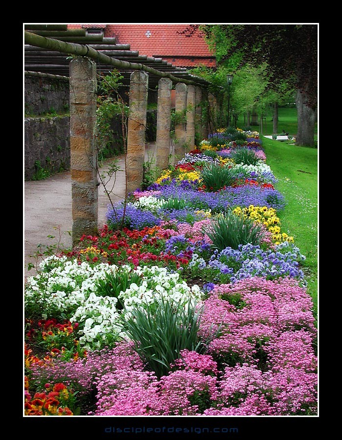 rothgarden04