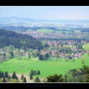 neuscwanvalley01