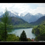 neuscwanvalley02