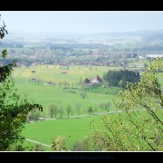 neuscwanvalley03