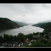 rhine01