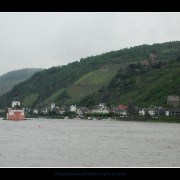 rhine04