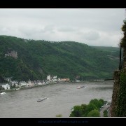 rhine06
