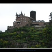 rhinecastle10