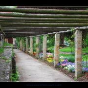 rothgarden02