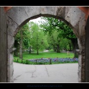 rothgarden03