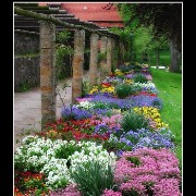 rothgarden04