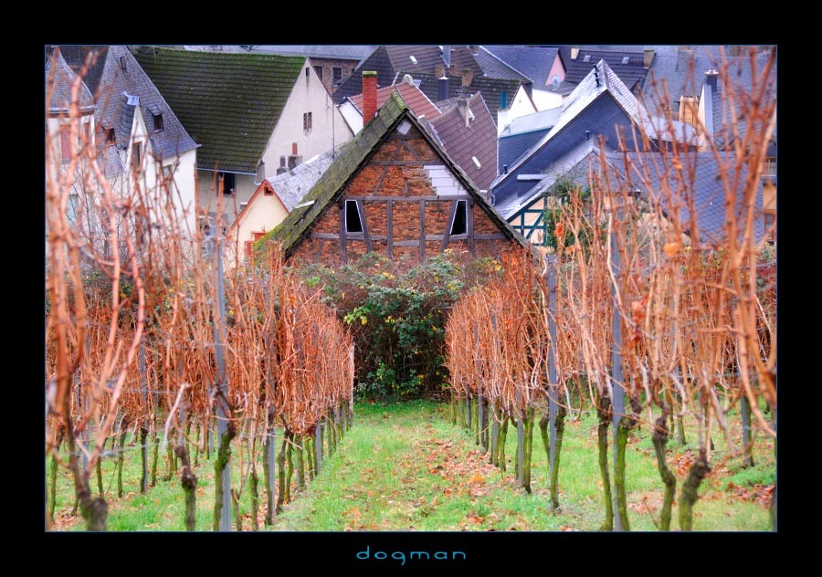 rudesheim01