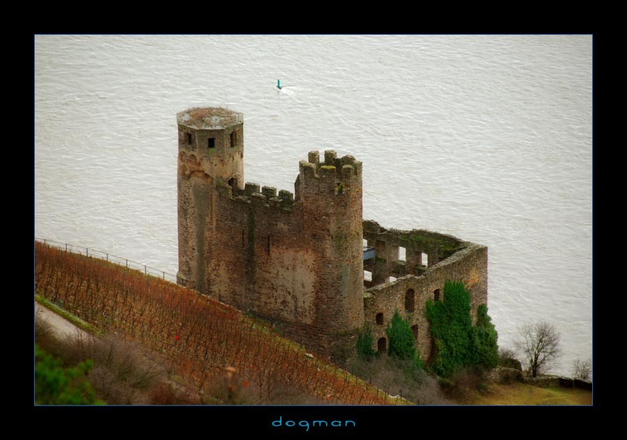 rudesheim11