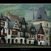 bacharach01
